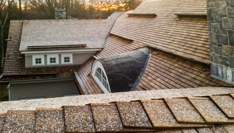 shingled-roof